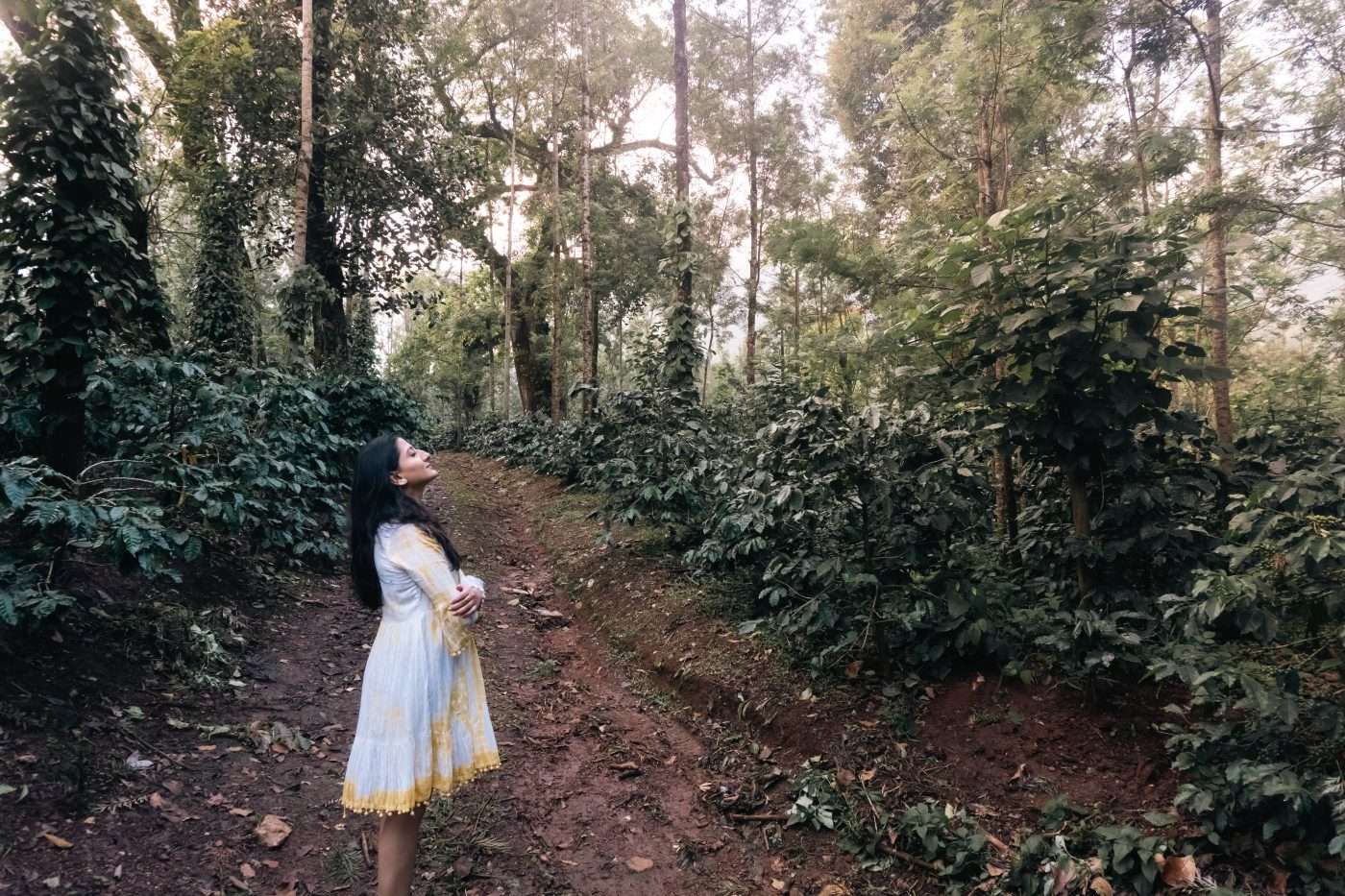 Wake Up Inside a Working Coffee Plantation: Why The Silver Sky Is Rewriting What a Weekend Escape Looks Like