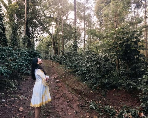 Wake Up Inside a Working Coffee Plantation: Why The Silver Sky Is Rewriting What a Weekend Escape Looks Like