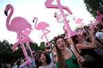 Protesters carrying flamingo signs demonstrate against Jared Kushner's resort project in Tirana Albania July 2026
