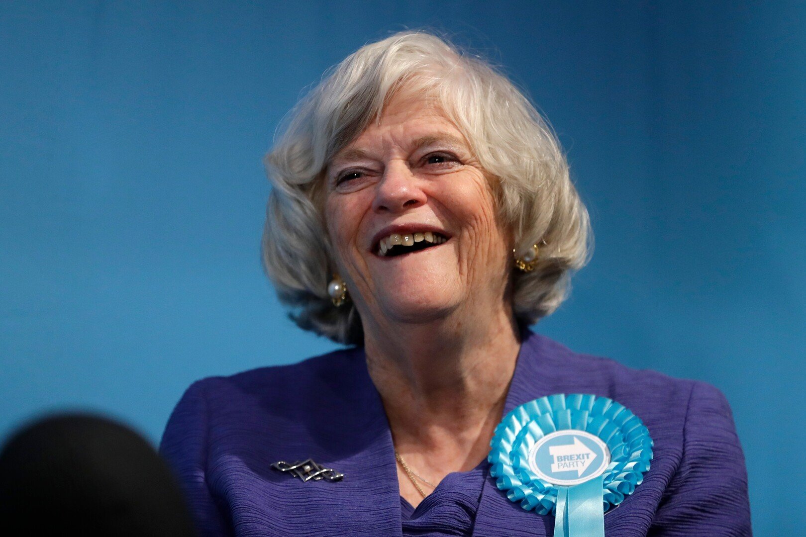 Ann Widdecombe speaking at a Reform UK Brexit Party event in London