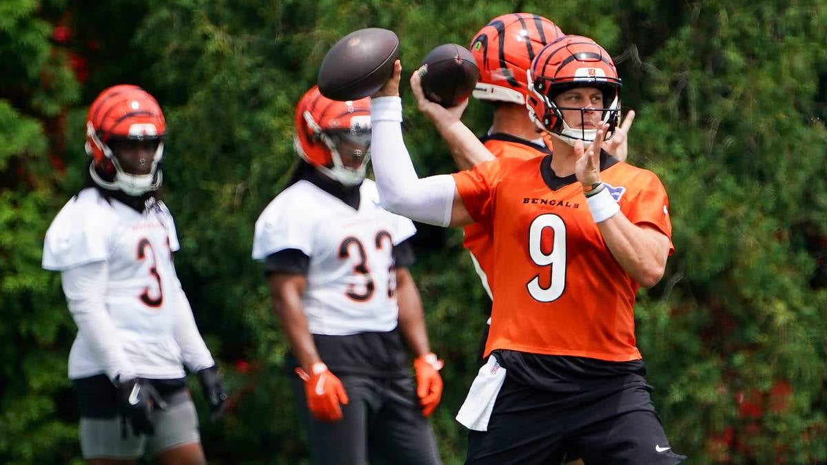 Ja'Marr Chase Cincinnati Bengals training camp 2026 scuffle with DJ Turner