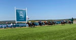 Bow Echo and jockey Billy Loughnane cross the line to win the Sussex Stakes at Goodwood 2026
