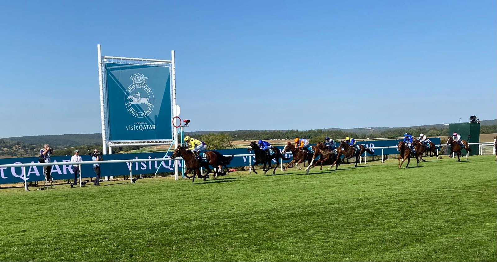 Bow Echo and jockey Billy Loughnane cross the line to win the Sussex Stakes at Goodwood 2026