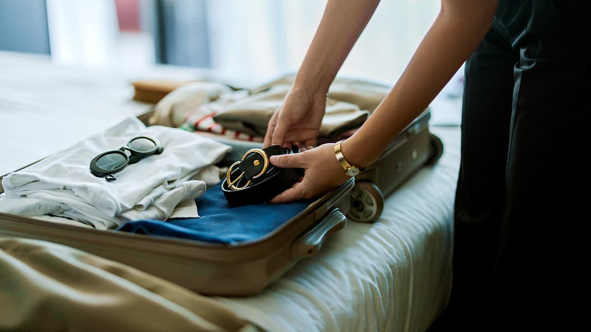 Luggage shown with bedbugs crawling on it, illustrating how the insects spread through hotel stays and travel across cities like Chicago