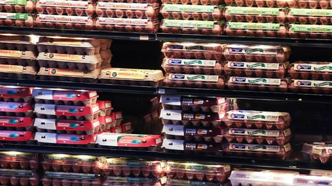 Eggs displayed for sale at a grocery store in New York amid DOJ settlement with Cal-Maine and egg producers over price fixing