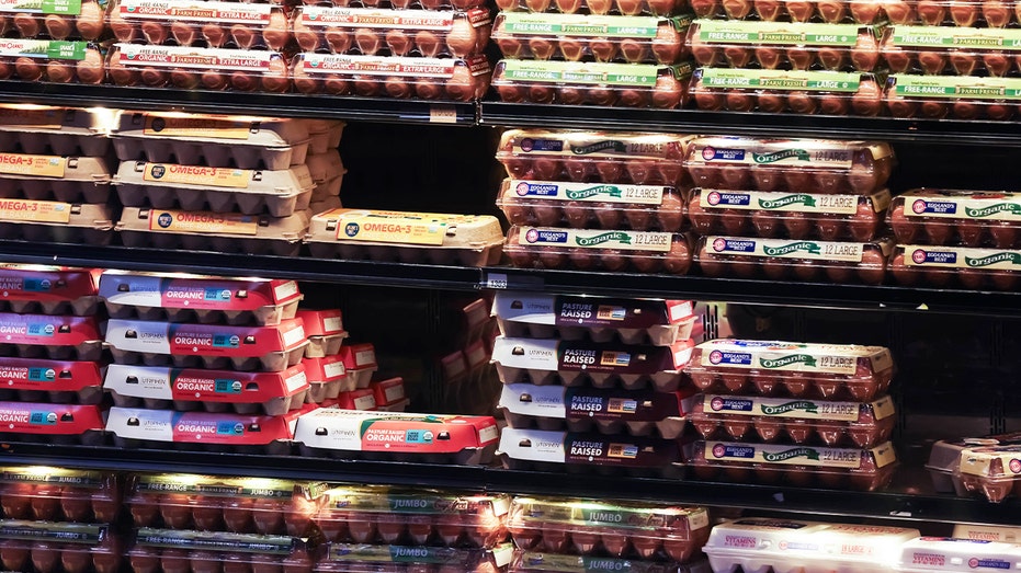 Eggs displayed for sale at a grocery store in New York amid DOJ settlement with Cal-Maine and egg producers over price fixing