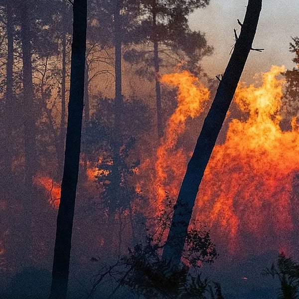 Firefighters battling wildfire in southern Europe July 2026