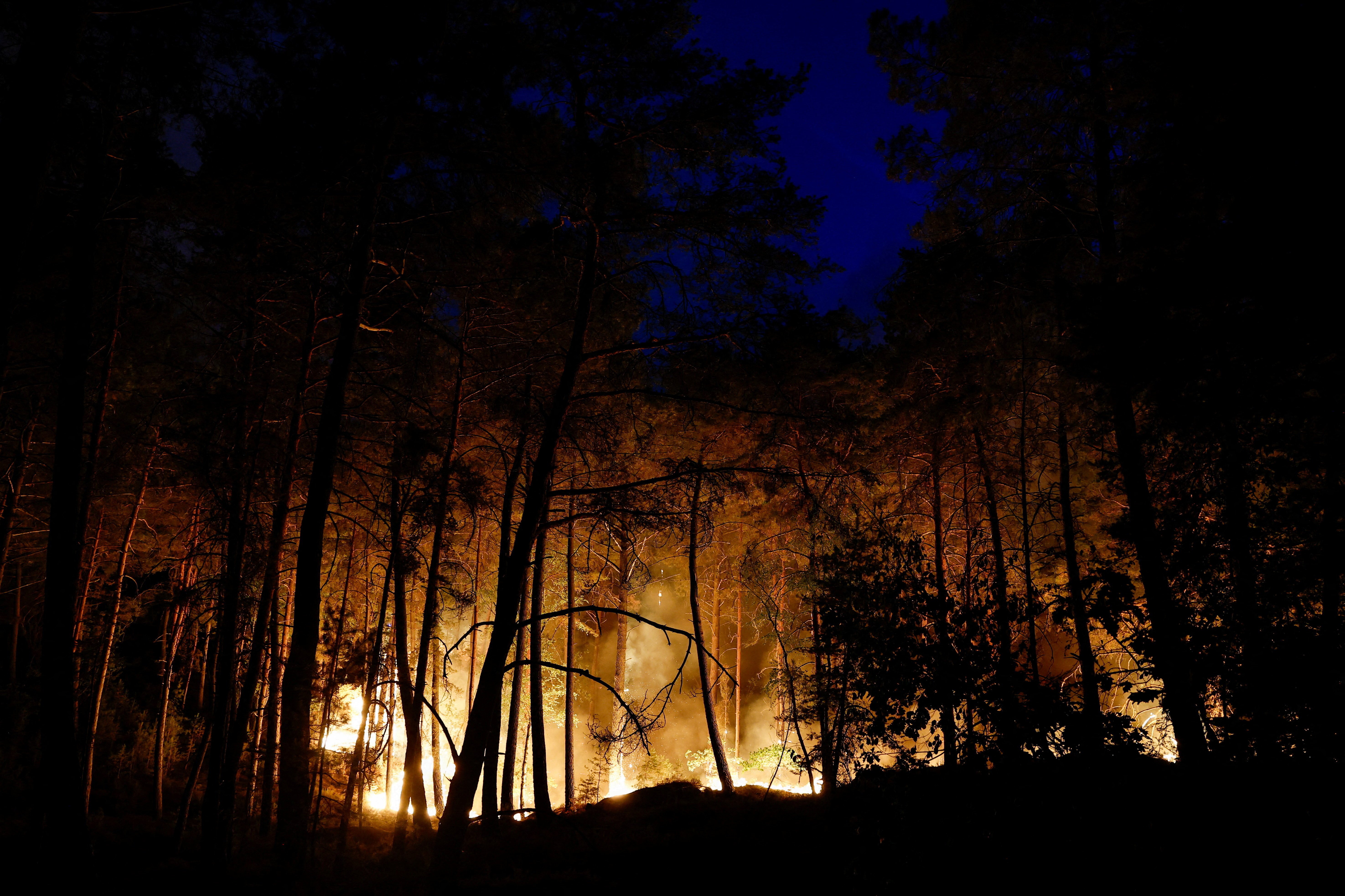 Firefighters and emergency vehicles at the Fontainebleau forest wildfire site near Paris