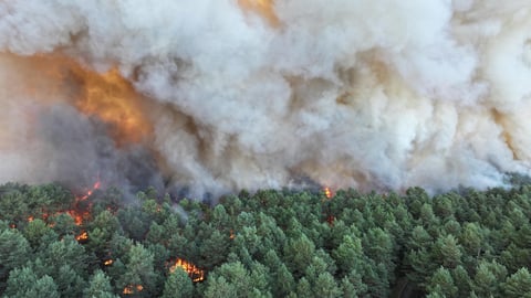 Aerial view of wildfire burning through Fontainebleau forest near Paris during France heatwave 2026