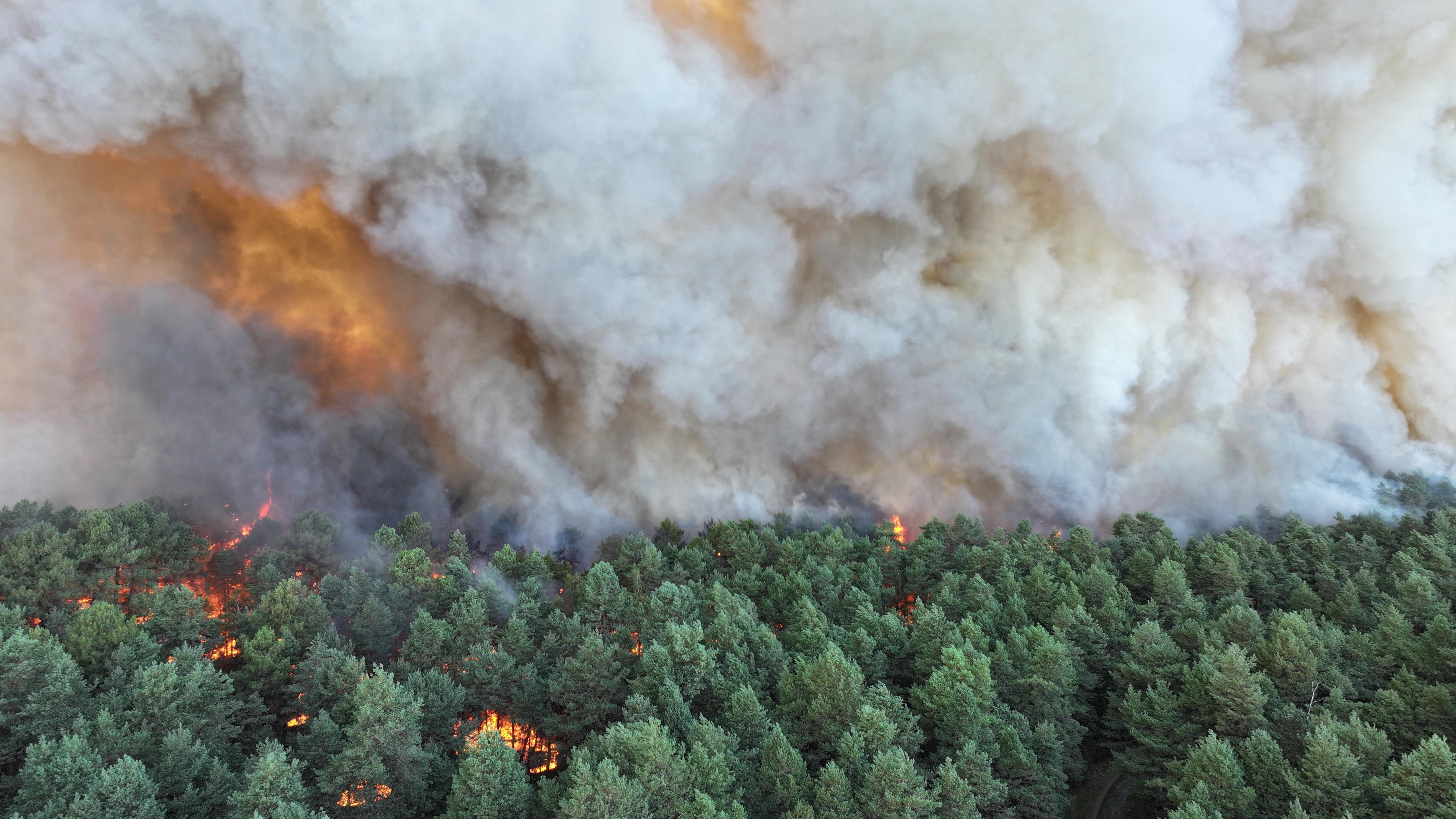 Aerial view of wildfire burning through Fontainebleau forest near Paris during France heatwave 2026