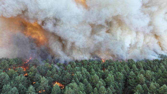 Aerial view of wildfire burning through Fontainebleau forest near Paris during France heatwave 2026