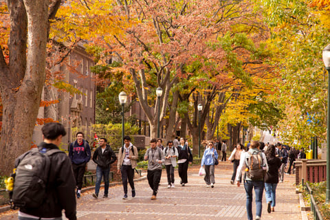 International students walk across a US university campus