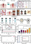AGCL spray powder development schematic and gelation performance panels from KAIST research
