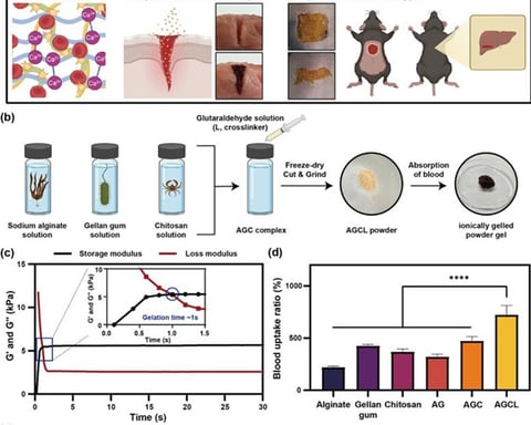 AGCL spray powder development schematic and gelation performance panels from KAIST research
