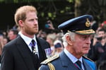 King Charles and Prince Harry pictured together at Highgrove estate