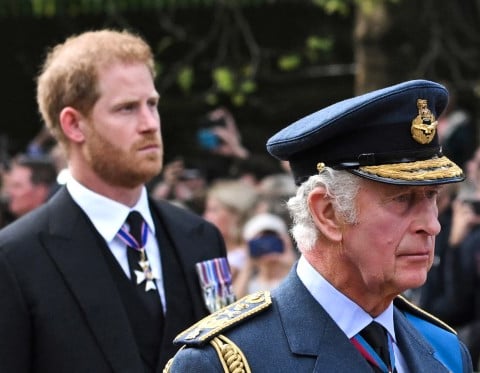 King Charles and Prince Harry pictured together at Highgrove estate