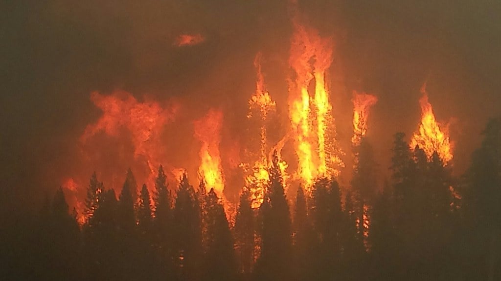 Aerial view of wildfire burning through dense pine forest with flames and smoke visible