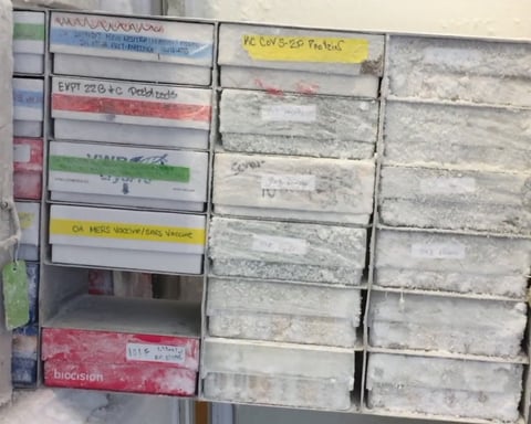 Vials of mRNA vaccine stored in a NIAID laboratory freezer