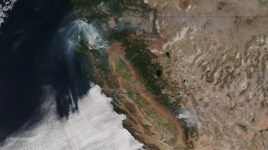 Aerial view of large wildfire and smoke plume rising from burning forest