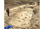 Overview of excavated track surface showing hominin and hippopotamus footprints at GaJi10 site Lake Turkana Kenya 1.4 million years ago