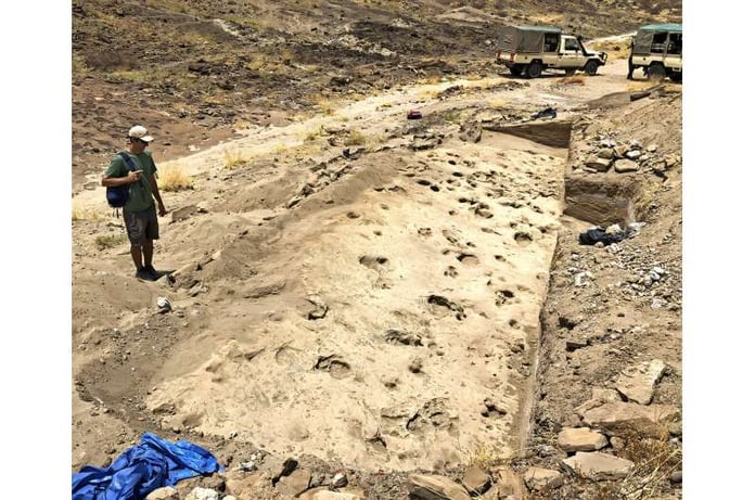Overview of excavated track surface showing hominin and hippopotamus footprints at GaJi10 site Lake Turkana Kenya 1.4 million years ago