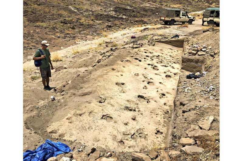 Overview of excavated track surface showing hominin and hippopotamus footprints at GaJi10 site Lake Turkana Kenya 1.4 million years ago