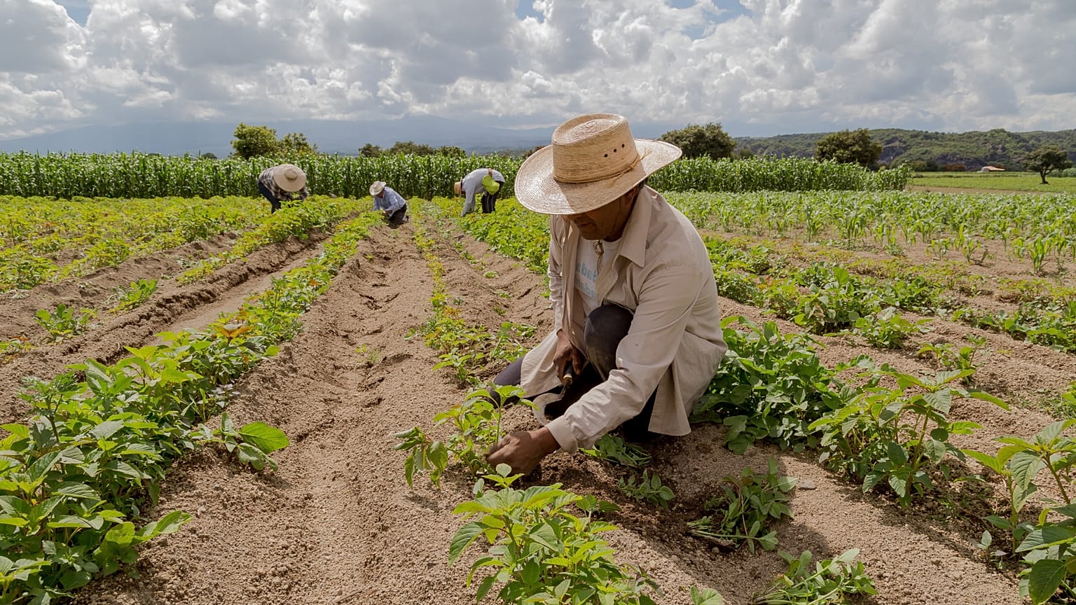 Farmers in field affected by energy and fertiliser price rises from the Russia-Ukraine conflict affecting European food costs