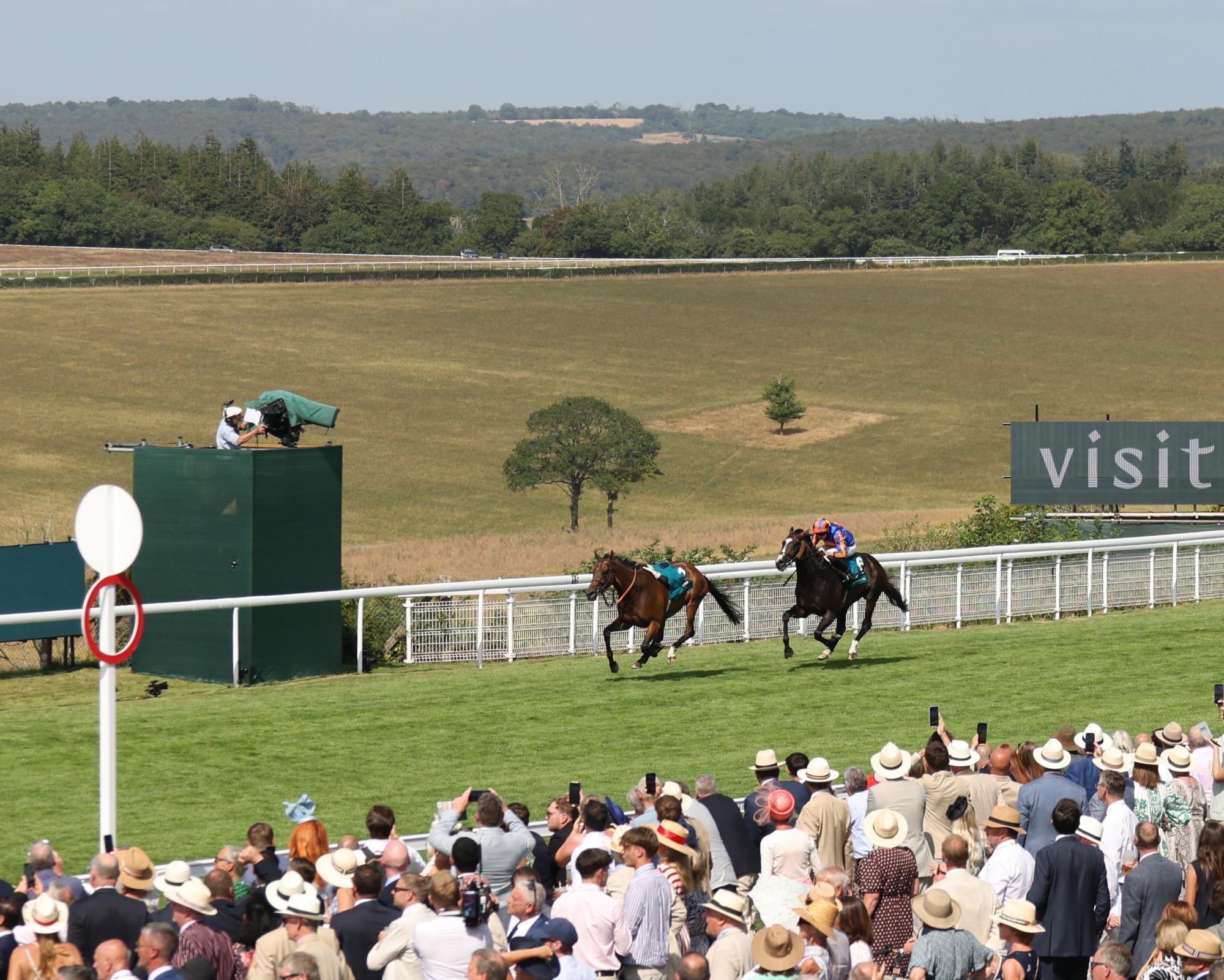 Ryan Moore on Scandinavia crosses the line behind loose horse Amiloc to win the Goodwood Cup at Glorious Goodwood 2026