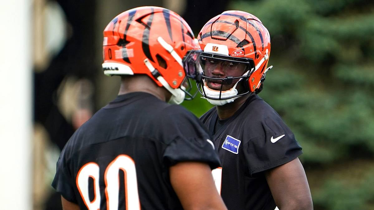 Shemar Stewart Cincinnati Bengals defensive end injured at training camp 2026