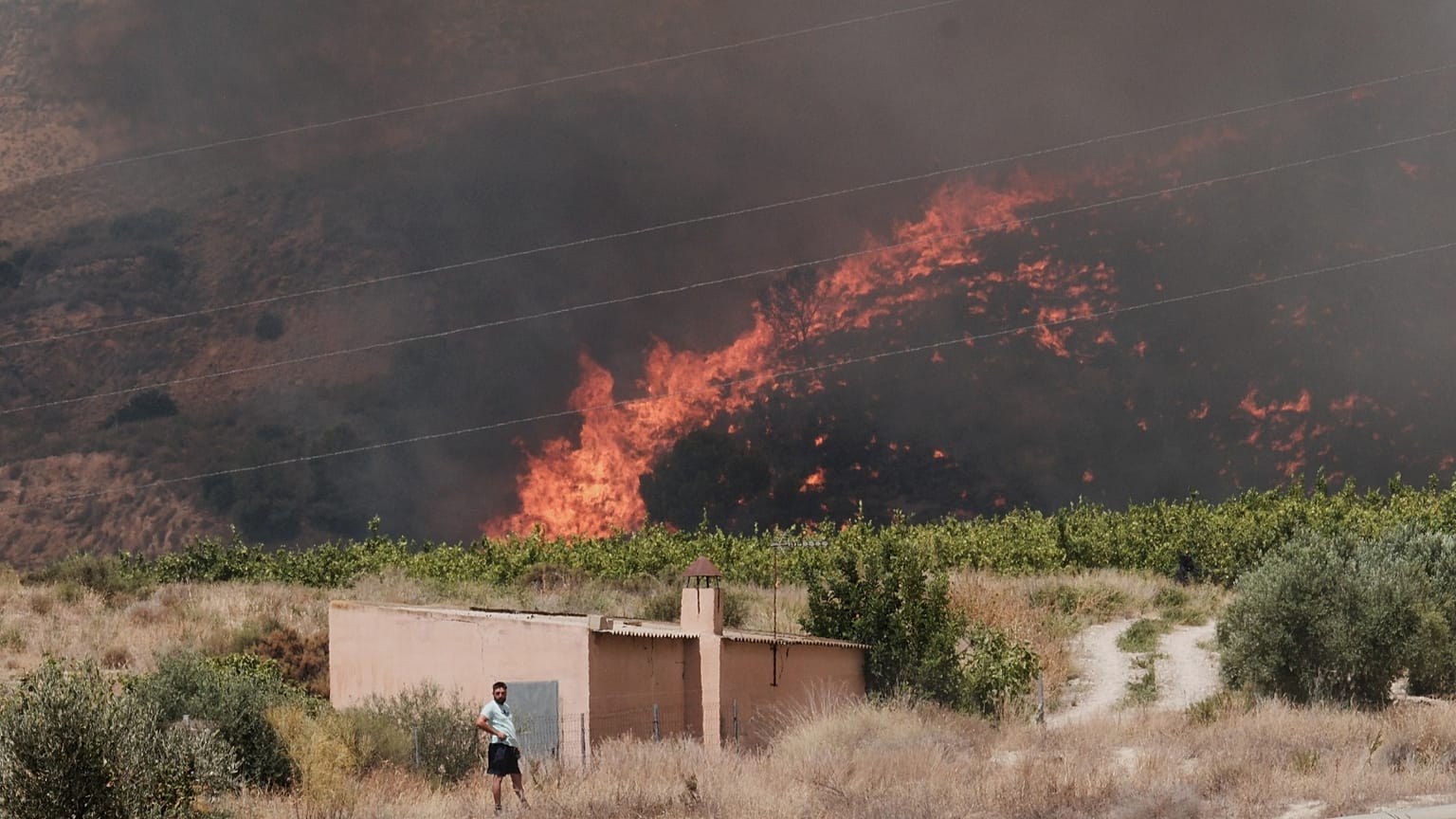 Wildfire burning near Almería in southern Spain as part of the heat emergency sweeping western Europe