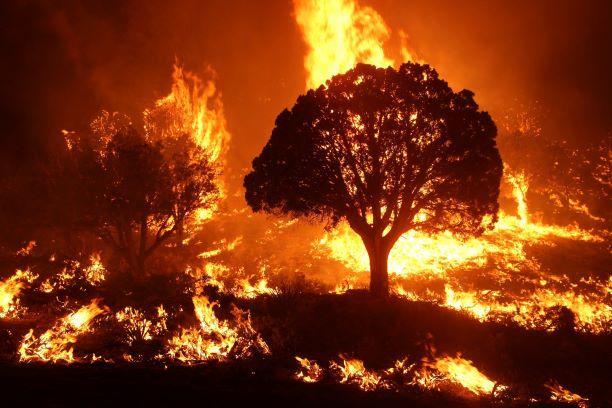 Firefighters conducting burnout operations to contain a fast-moving wildfire in dry conditions