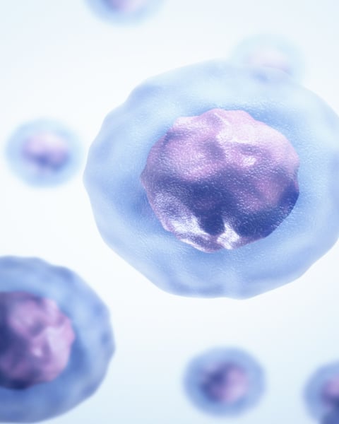 Illustration of a synthetic biological cell similar to SpudCell developed at University of Minnesota
