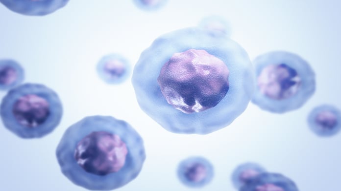 Illustration of a synthetic biological cell similar to SpudCell developed at University of Minnesota