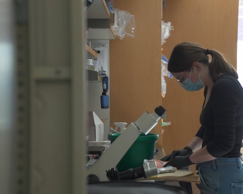 University of Colorado Boulder researchers working on the ARPA-H NITRO-funded single injection therapy to reverse osteoarthritis