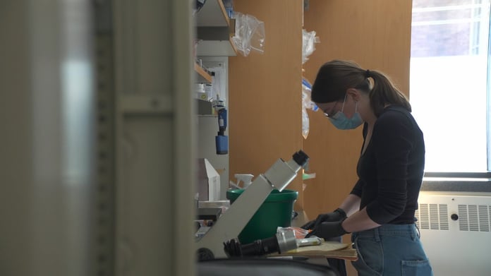 University of Colorado Boulder researchers working on the ARPA-H NITRO-funded single injection therapy to reverse osteoarthritis