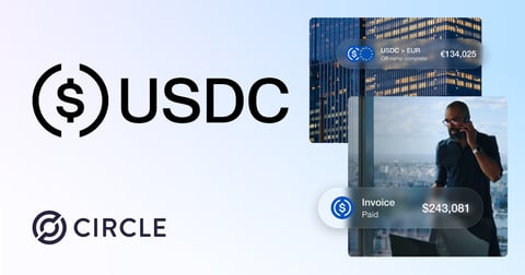 USDC digital dollar stablecoin issued by Circle, the dominant regulated stablecoin in financial markets