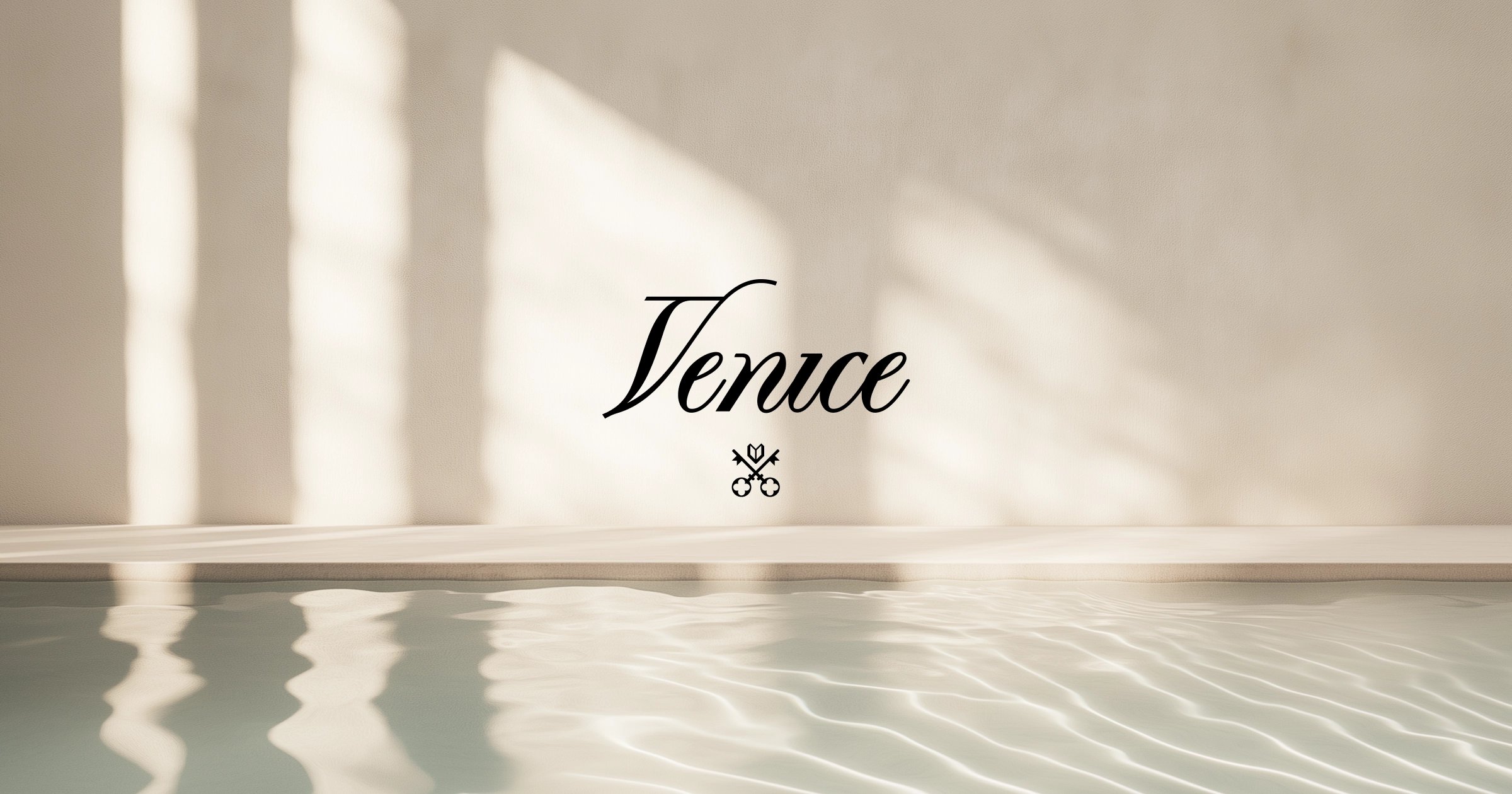 Venice AI privacy-first artificial intelligence platform unicorn $1 billion valuation