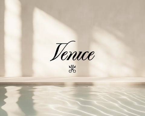 Venice AI privacy-first artificial intelligence platform unicorn $1 billion valuation