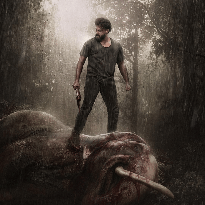 ManoramaMAX Takes Kattalan Beyond Malayalam, Makes First-Ever Dubbing & Release in Tamil and Kannada