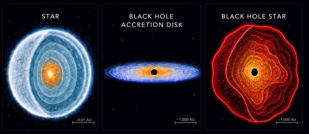 Schematic comparing a normal star, a stellar-mass black hole, and a black hole star — the exotic hybrid discovered by JWST at 660 million years after the Big Bang