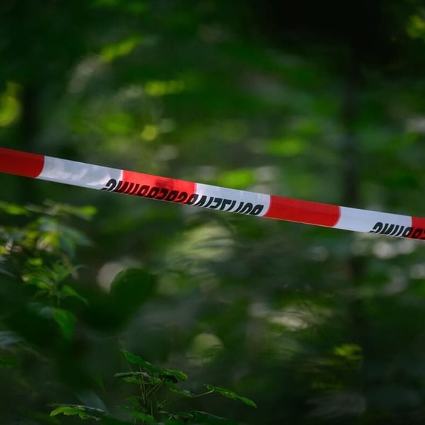 Red and white German police cordon tape strung across dense green woodland