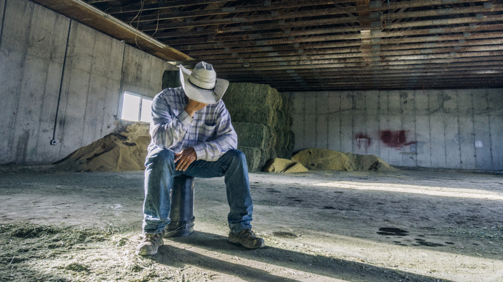 US financial markets gold rate August 28 2026