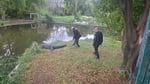 Israeli prison officials at crocodile farm Hamat Gader Ketziot Ben-Gvir human rights