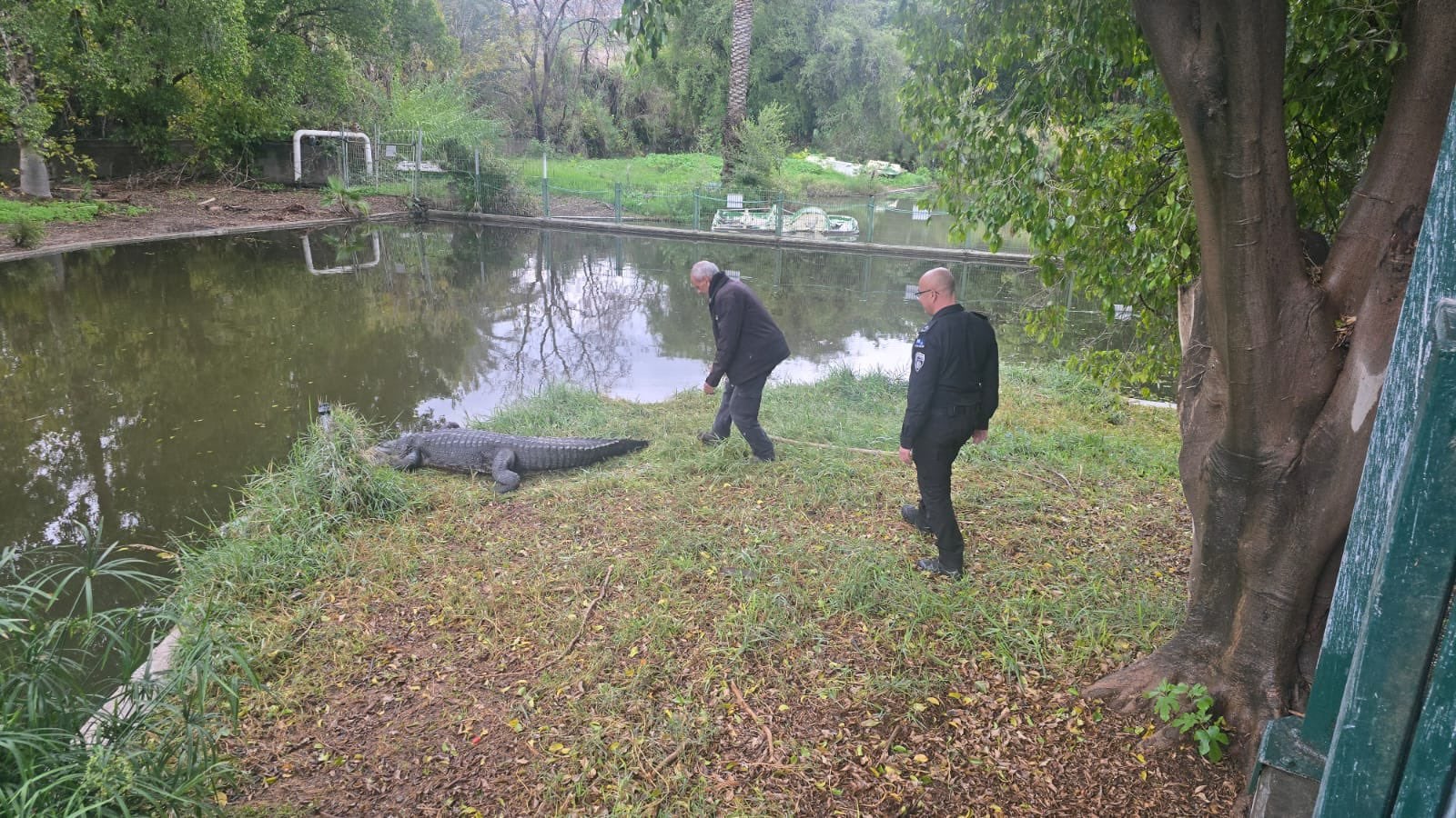 Israeli prison officials at crocodile farm Hamat Gader Ketziot Ben-Gvir human rights