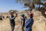 Protective presence activists confront Israeli settler trying to enter Palestinian Bedouin home in West Bank near Ramallah June 2026