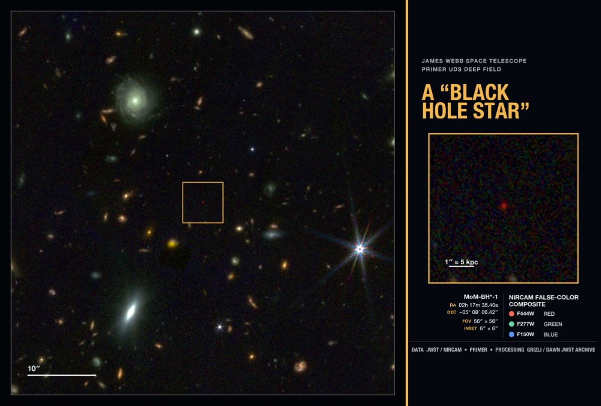 JWST deep field image with MoM-BH*-1, the earliest known black hole star, highlighted at 660 million years after the Big Bang