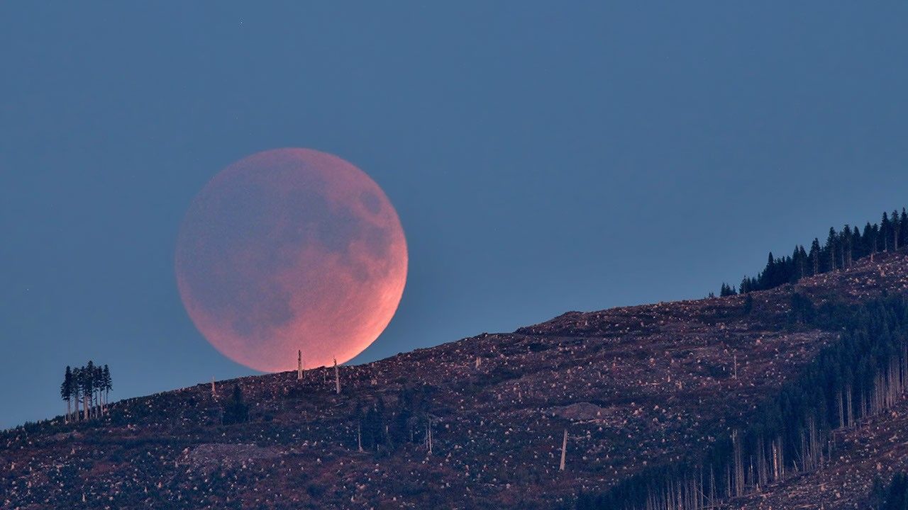 A total lunar eclipse photographed against a dark sky, with the Moon glowing deep red during totality
