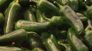 FDA and CDC investigate Salmonella linked to jalapeños at Chipotle and in the Taylor Farms supply chain