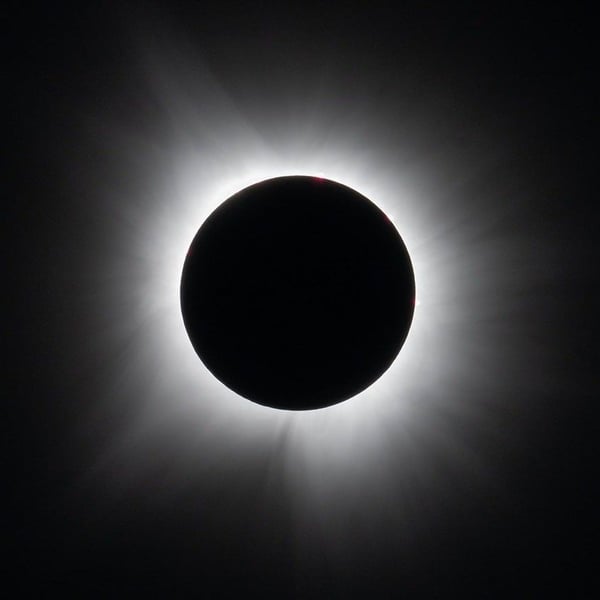 Total solar eclipse showing the solar corona visible during the April 8 2024 eclipse from Dallas Texas