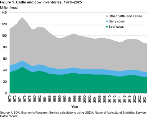 USDA chart showing U.S. cattle and cow inventory declining to near 70-year lows, driving Tyson Foods beef plant closures and restructuring
